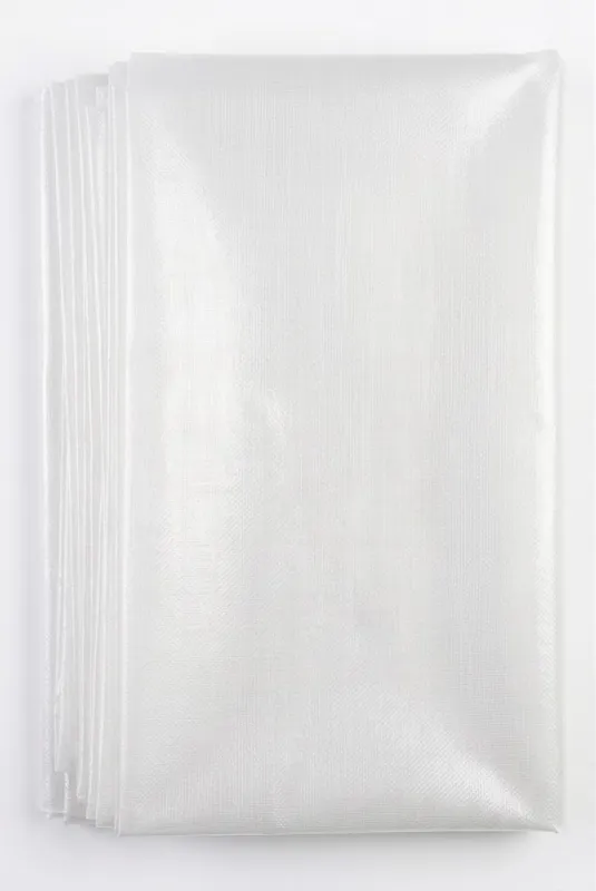 BOLSA TRANSPARENTE